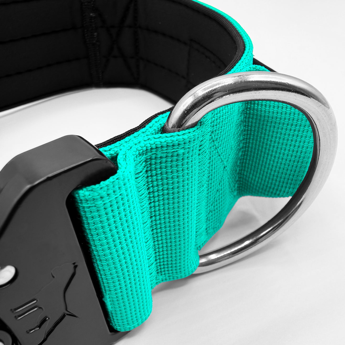 5cm Tactical Collar with Handle - Cyan