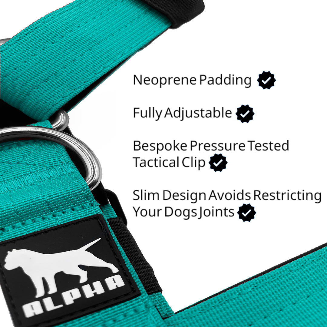 Mini Tactical Harness - Cyan