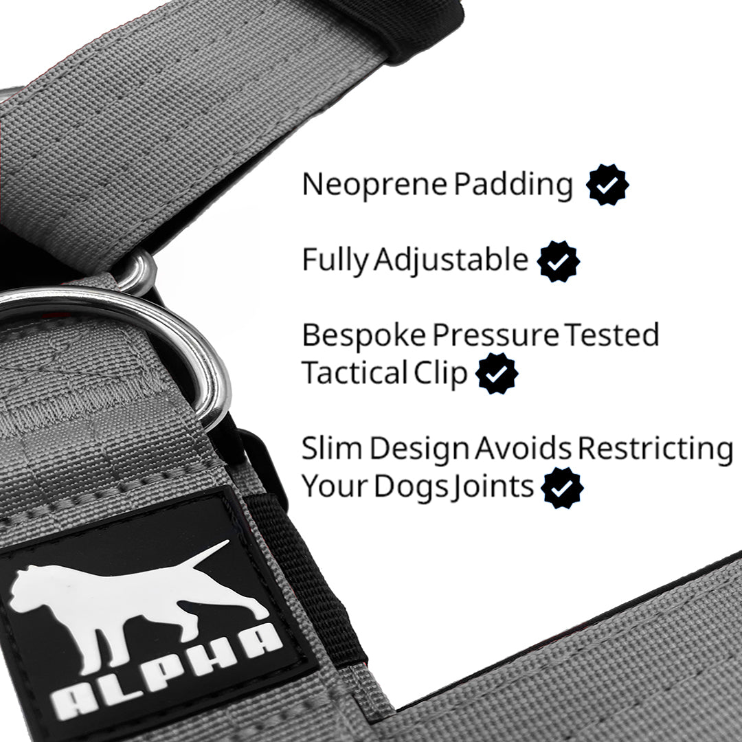 Tactical Harness - Grey