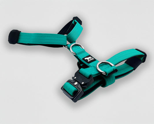 Mini Tactical Harness - Cyan