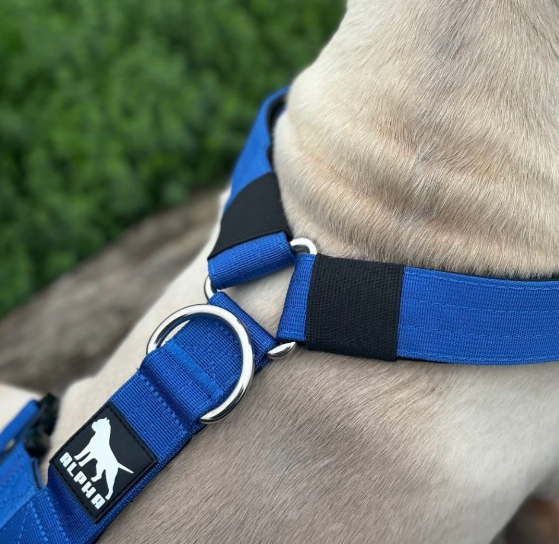 Mini Tactical Harness - Red