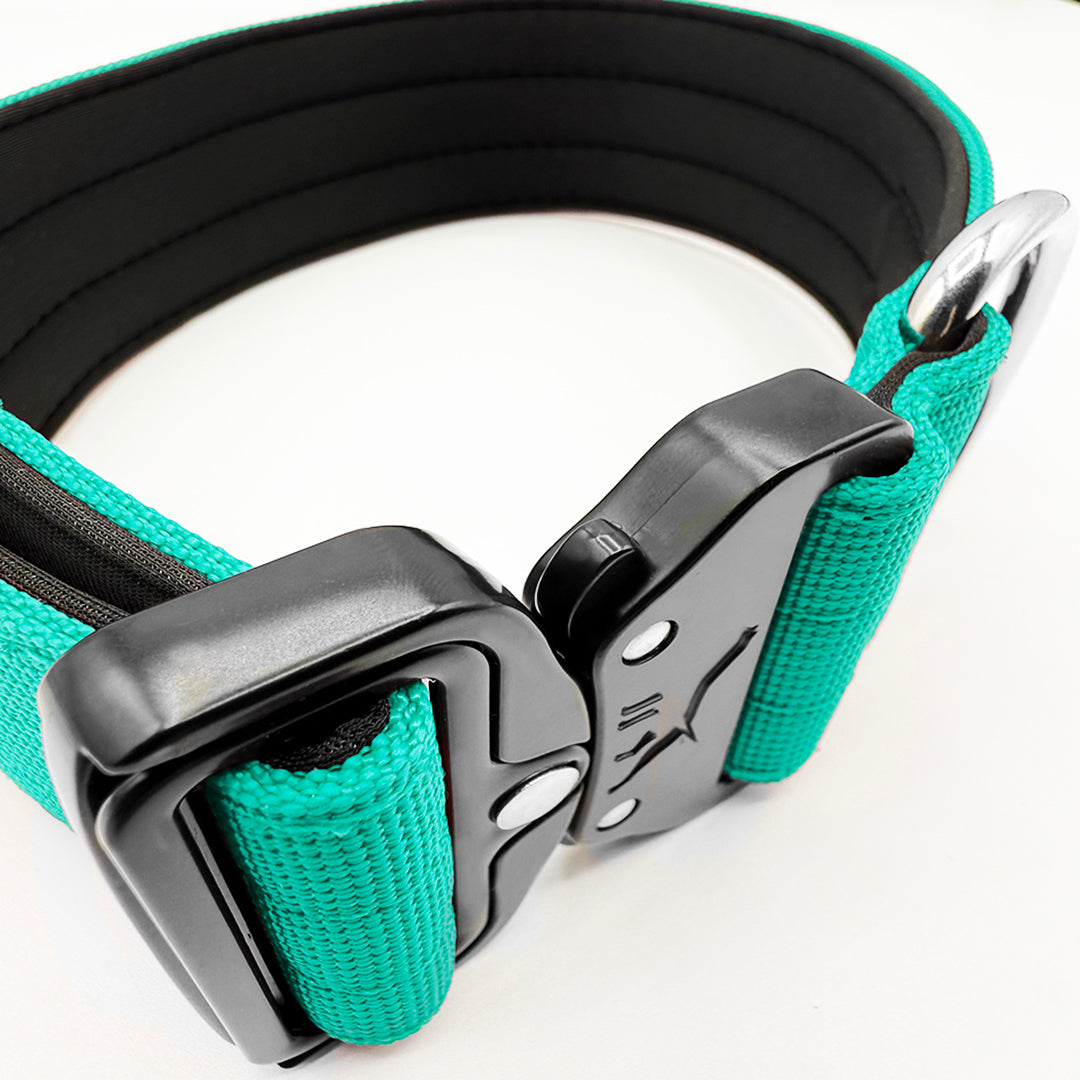 5cm Tactical Collar - Cyan