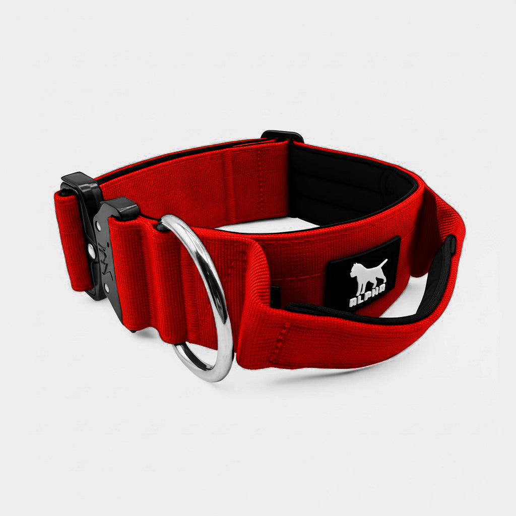 5cm Tactical Collar with Handle - Red