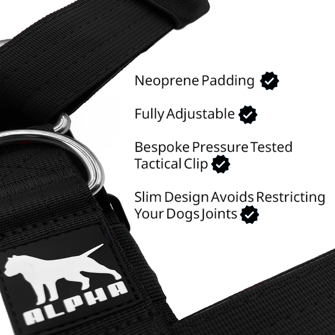 Mini Tactical Harness - Black