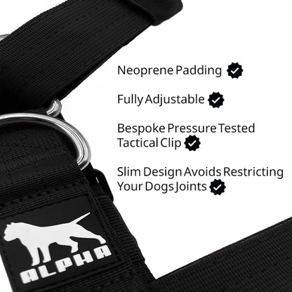 Mini Tactical Harness - Black