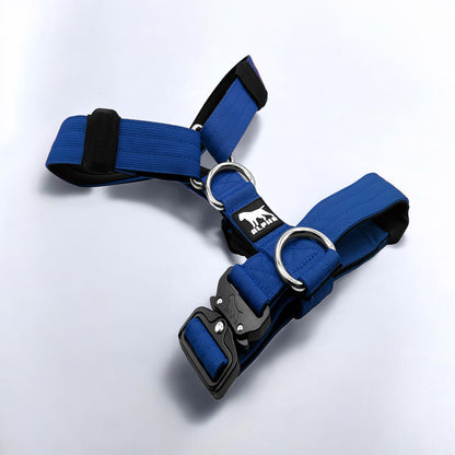 Tactical Harness - Blue