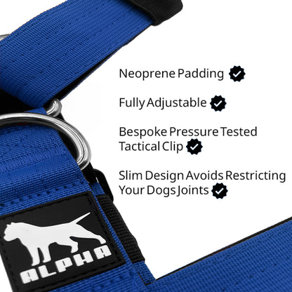 Tactical Harness - Blue