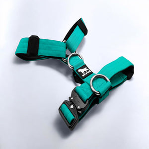 Tactical Harness - Cyan