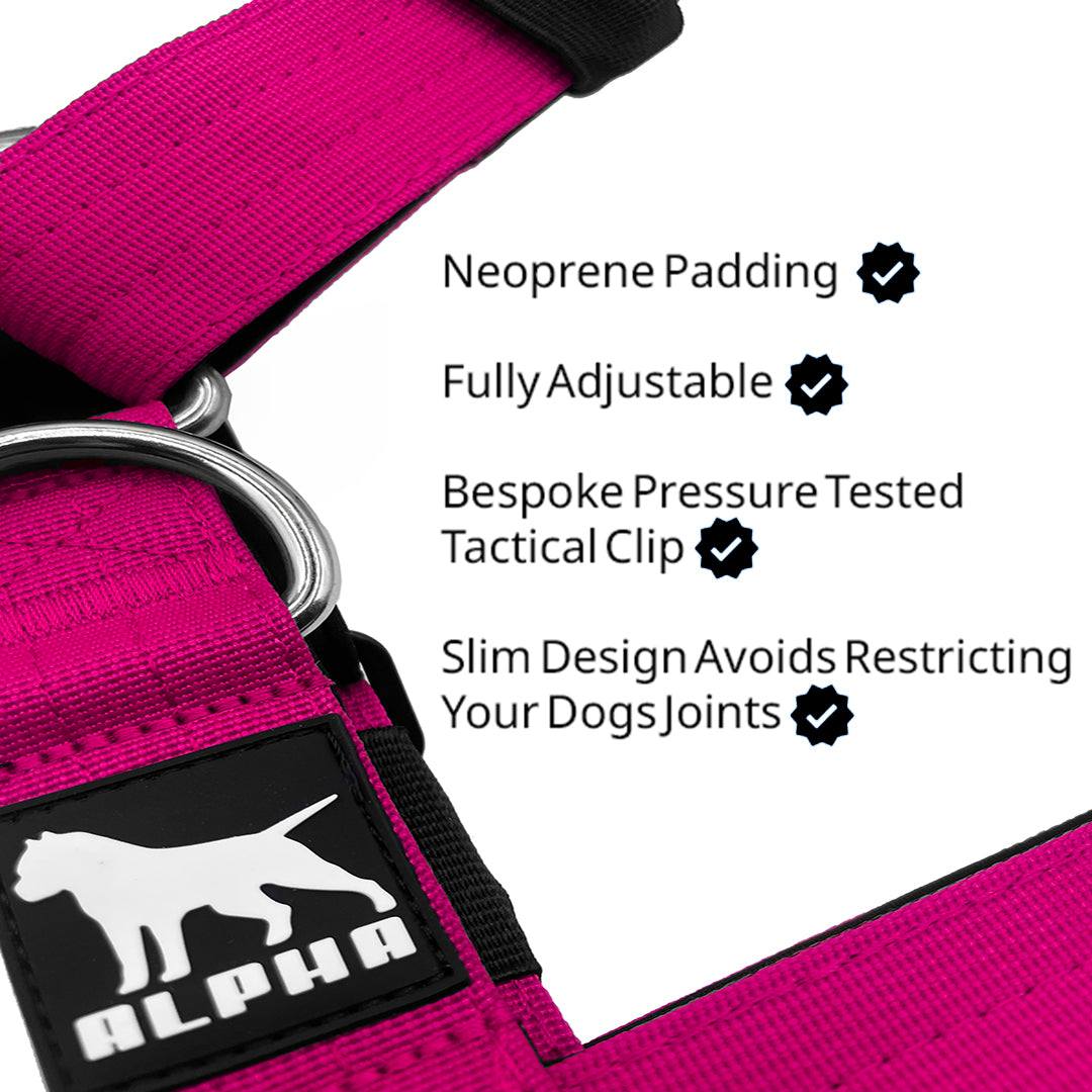 Tactical Harness - Magenta