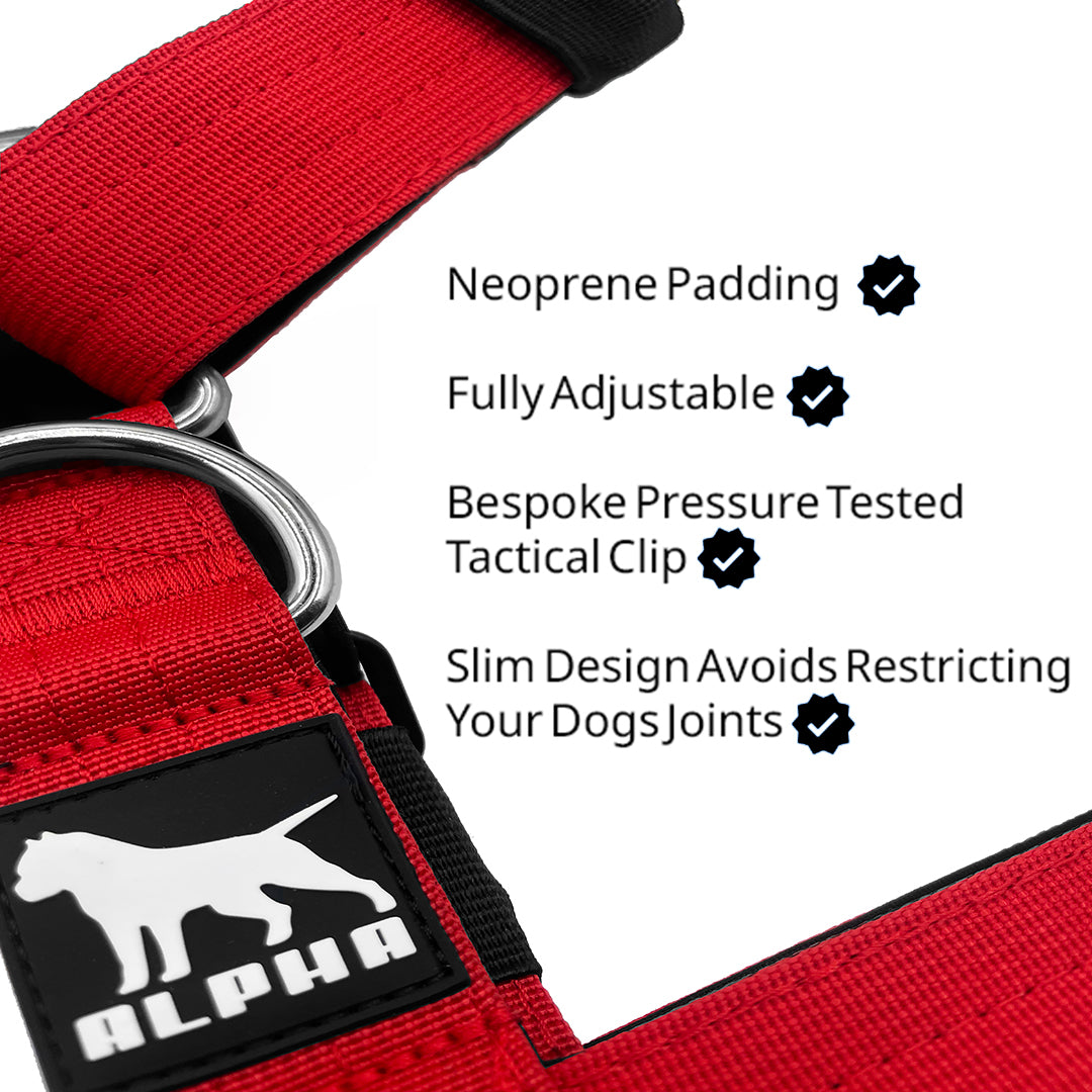 Mini Tactical Harness - Red
