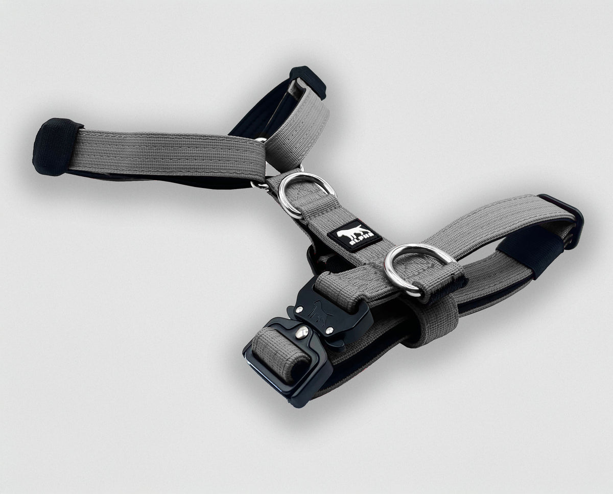 Mini Tactical Harness - Grey – AlphaCanineGear