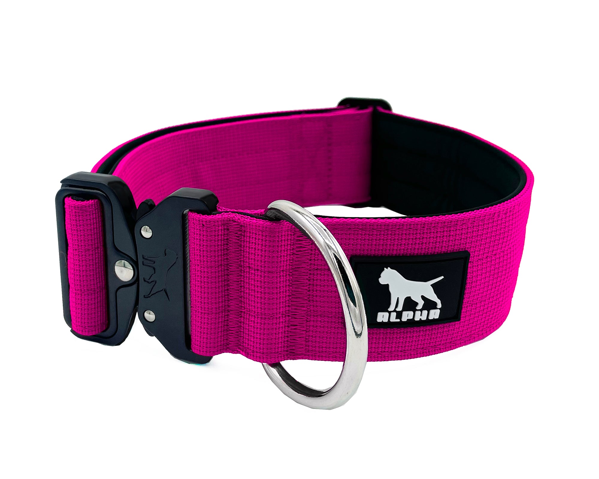 Magenta dog collar sale